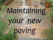 Paving Maintenance